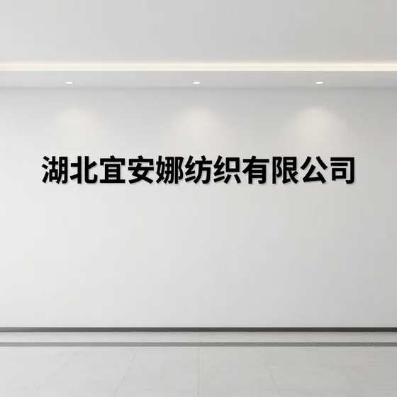 深圳市宸象大数据有限公司