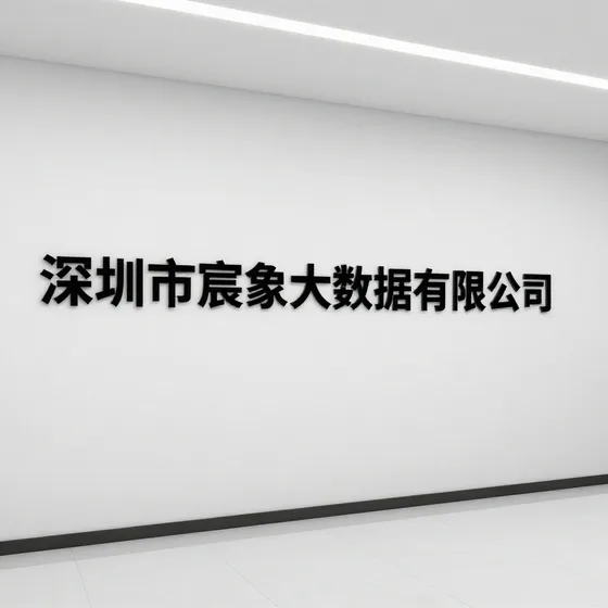深圳市宸象大数据有限公司